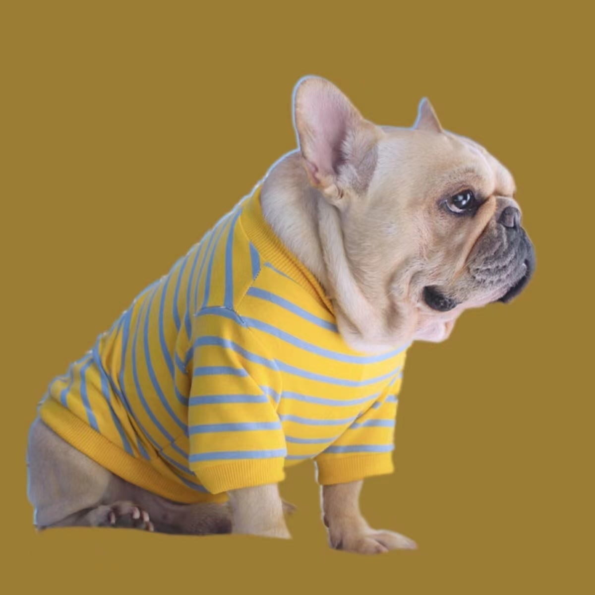 犬 服 フレブル フレンチブルドッグ ジャージ ペット服パーカーペット