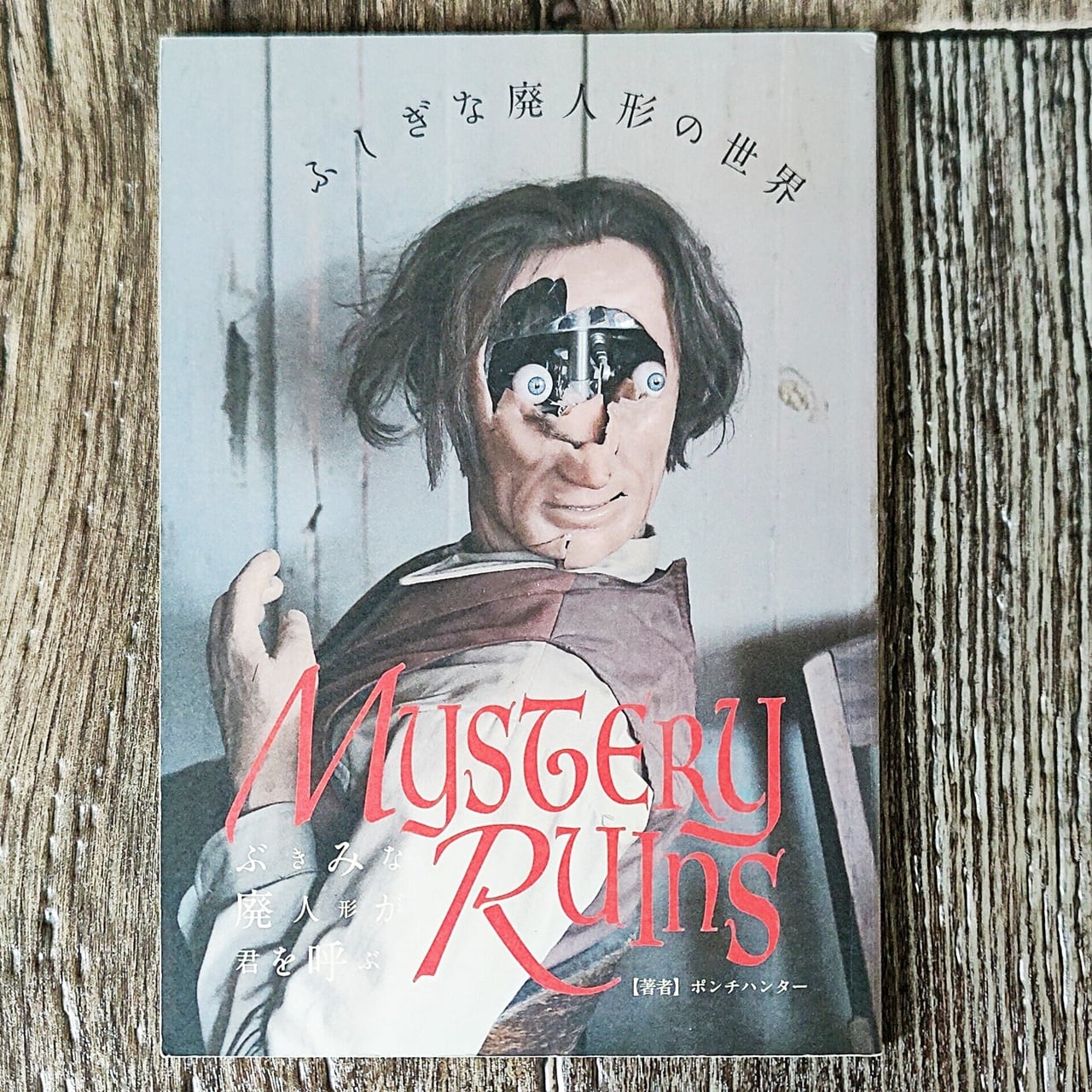 限定再入荷】素粒子、象とピエロギ 101語のポーランド | Pay ID