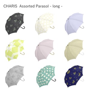 Assorted Parasol long　/【410000】