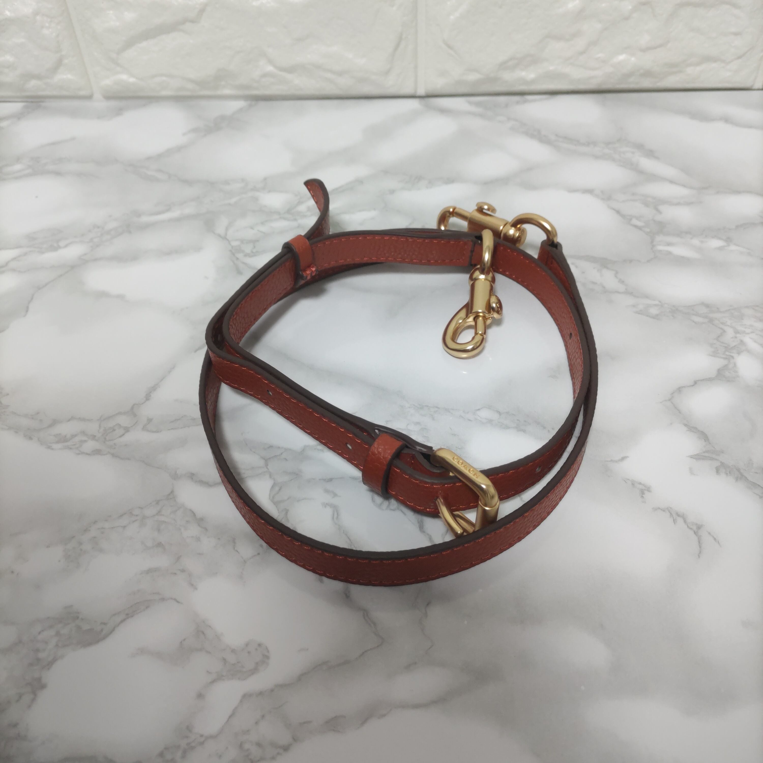 COACH コーチ シグネチャー ダンシング キトゥン プリント 猫 キャット  