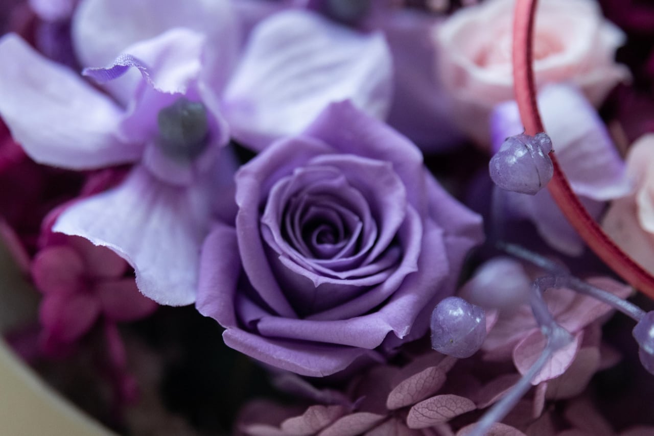 プリザーブドフラワーのBOXアレンジメント（2色） by YAYOI KOMATSU