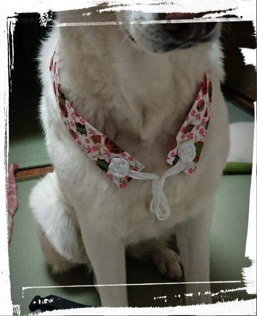 おっきいわんちゃん用 ペット用お遍路白衣 巡礼白衣 輪袈裟付き 3点