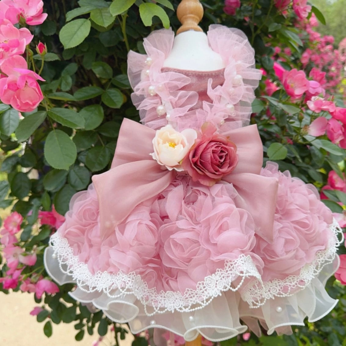 ピンクローズ レースドレス 00124