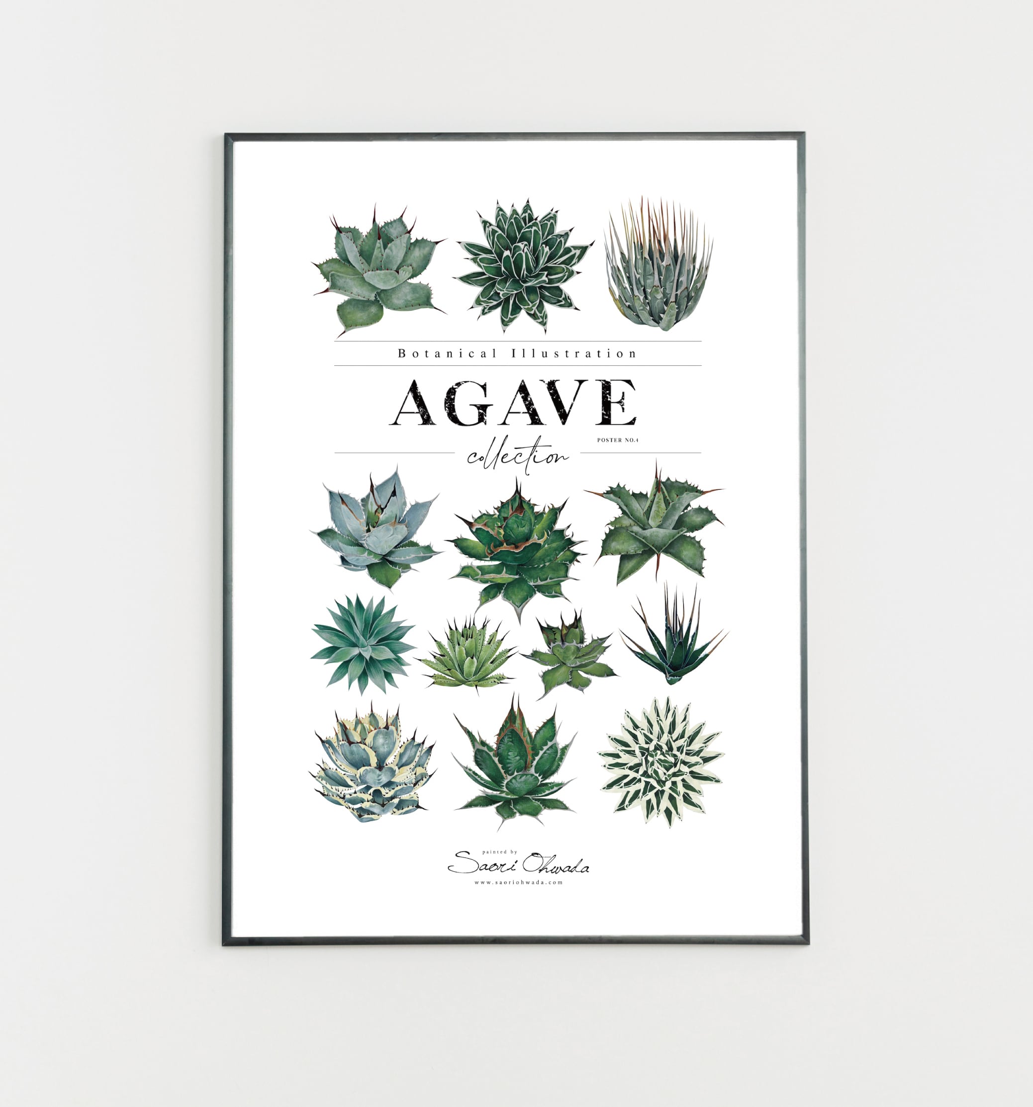 Agave ポスター vol.4