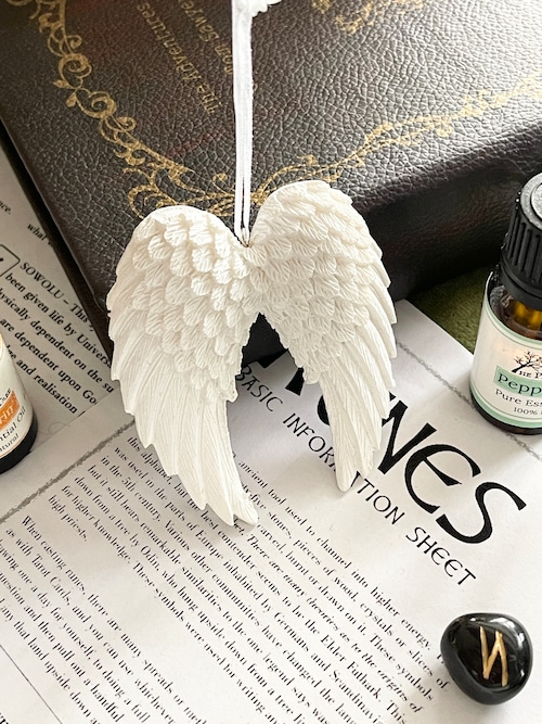 {エンジェルウィング} 天使の羽根 オーナメント Double Angel Wings  Decoration イギリスよりの画像