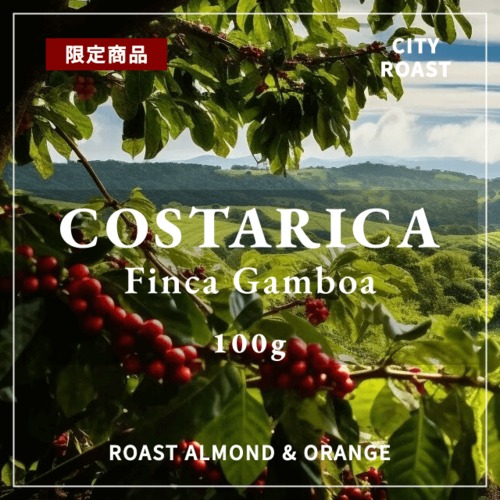 限定 COSTARICA｜FINCA GAMBOA｜中深煎り ｜コーヒー豆