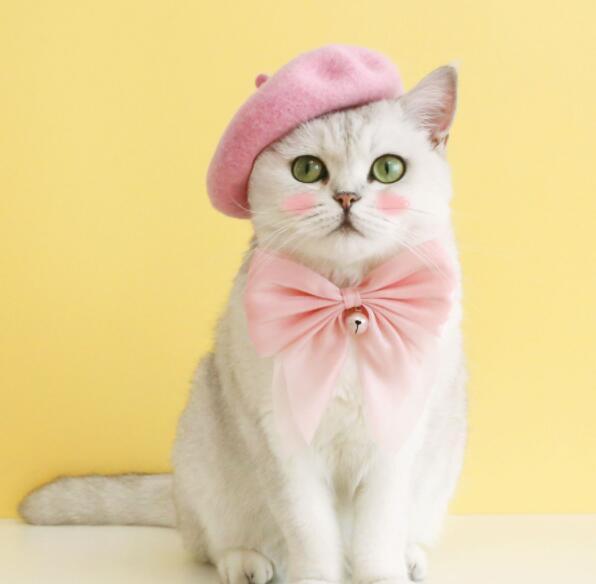 《予約》210907 フェルティーベレー帽