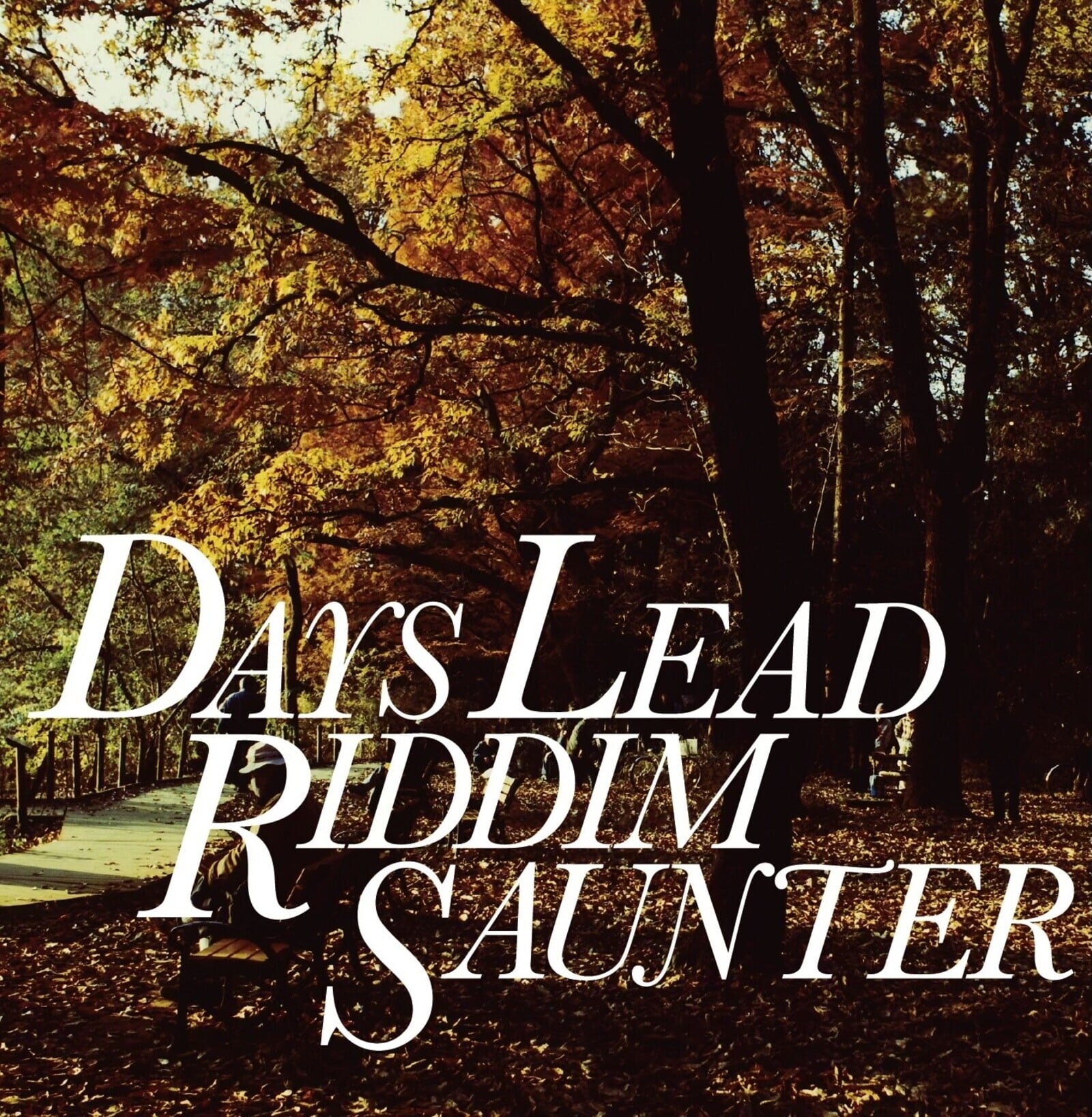Riddim Saunter / Days Lead(Cassette)