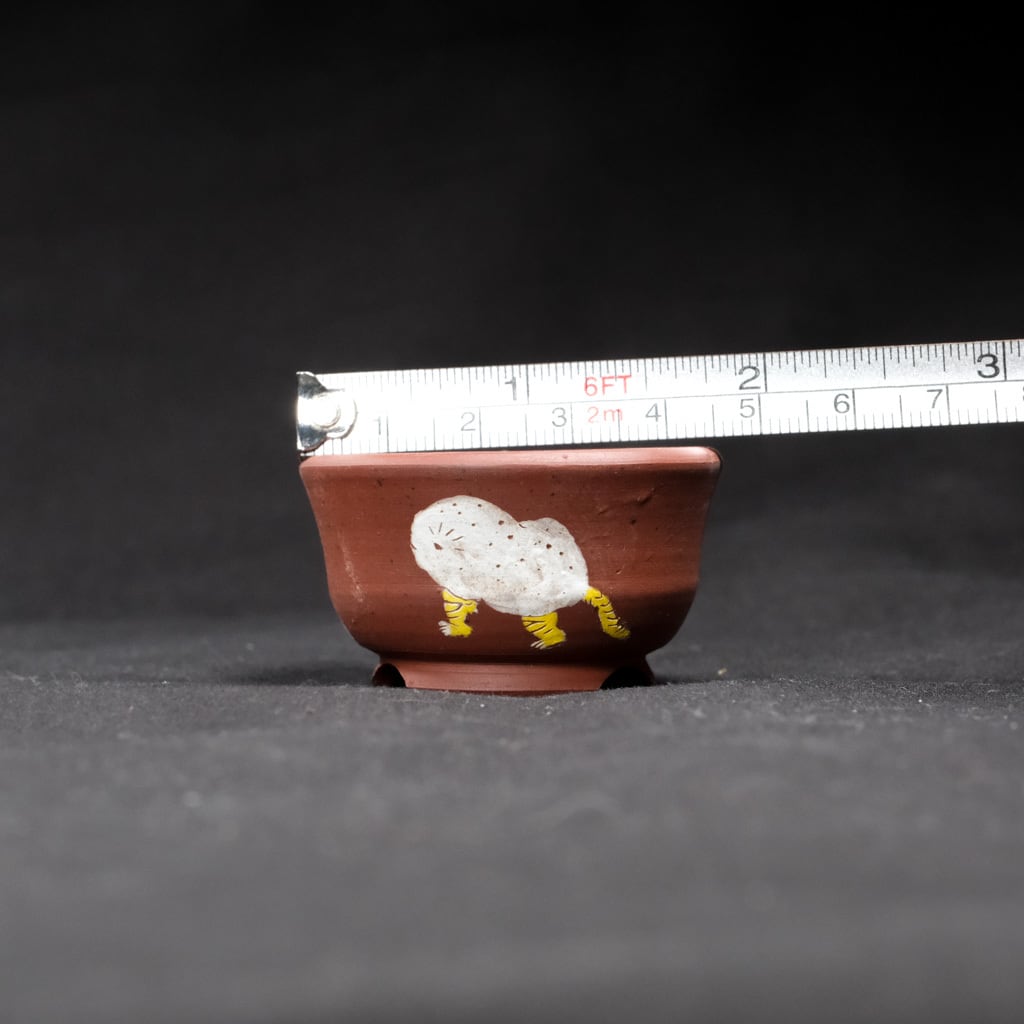 Q豆鉢 虎子石 | bonsaiQ store