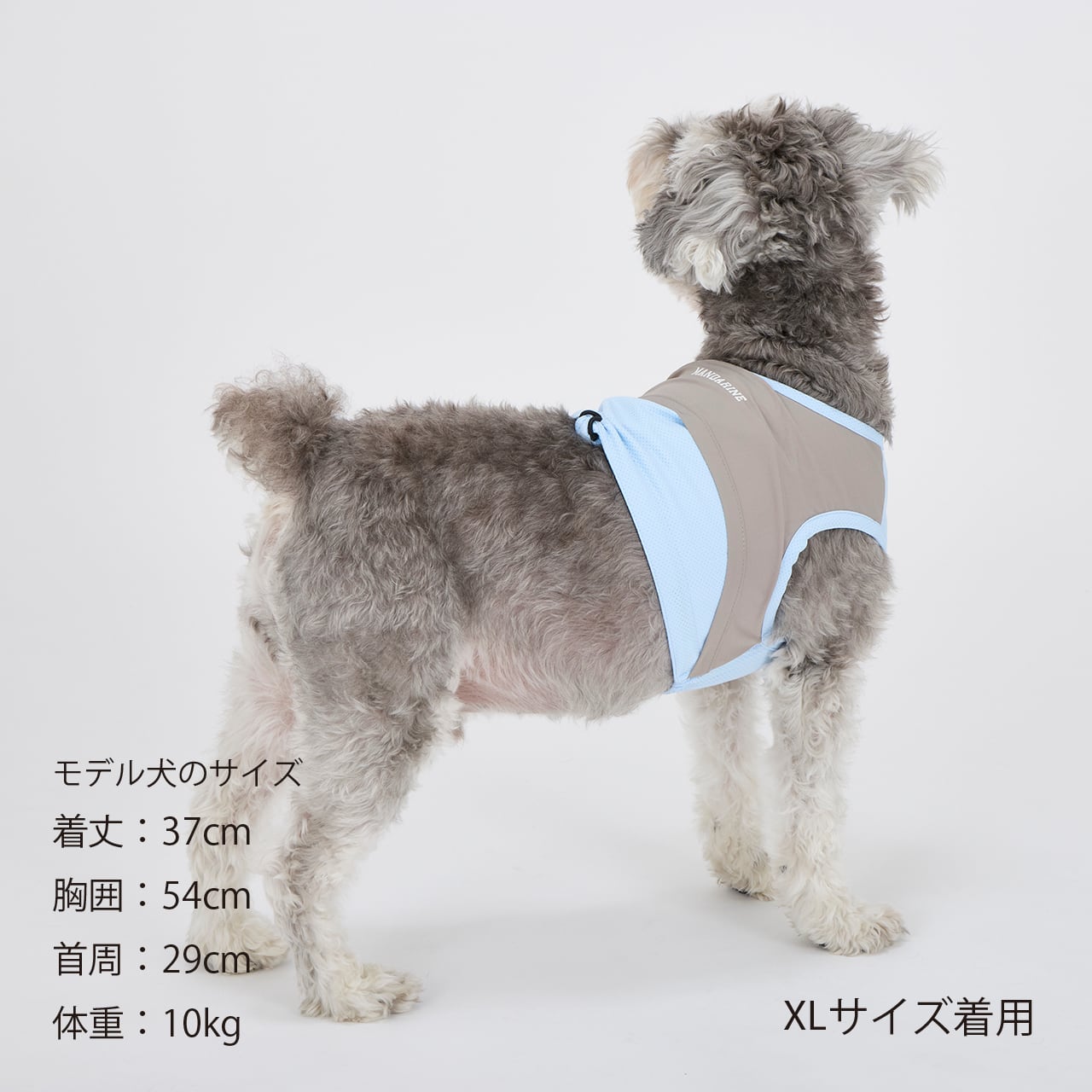 COOLING VEST（S.M.L） クーリングベスト | MANDARINE BROTHERS