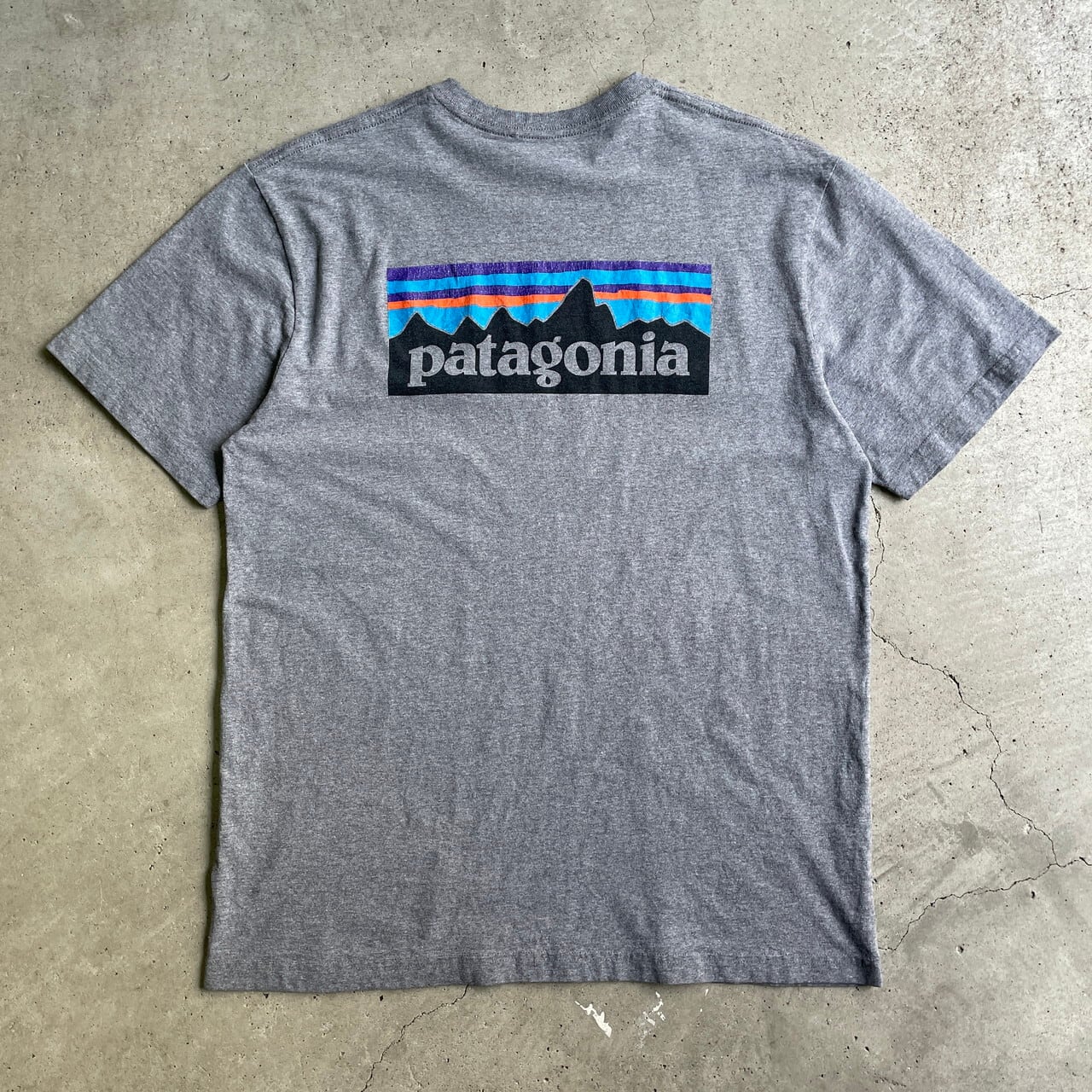 patagonia パタゴニア 胸ロゴ バックプリント オーガニックコットン T