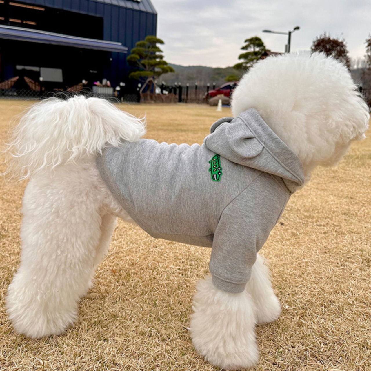 【予約】型紙のみ｜犬用フーディ（2タイプ）｜P1721｜サイズS〜XXL｜商用利用OK