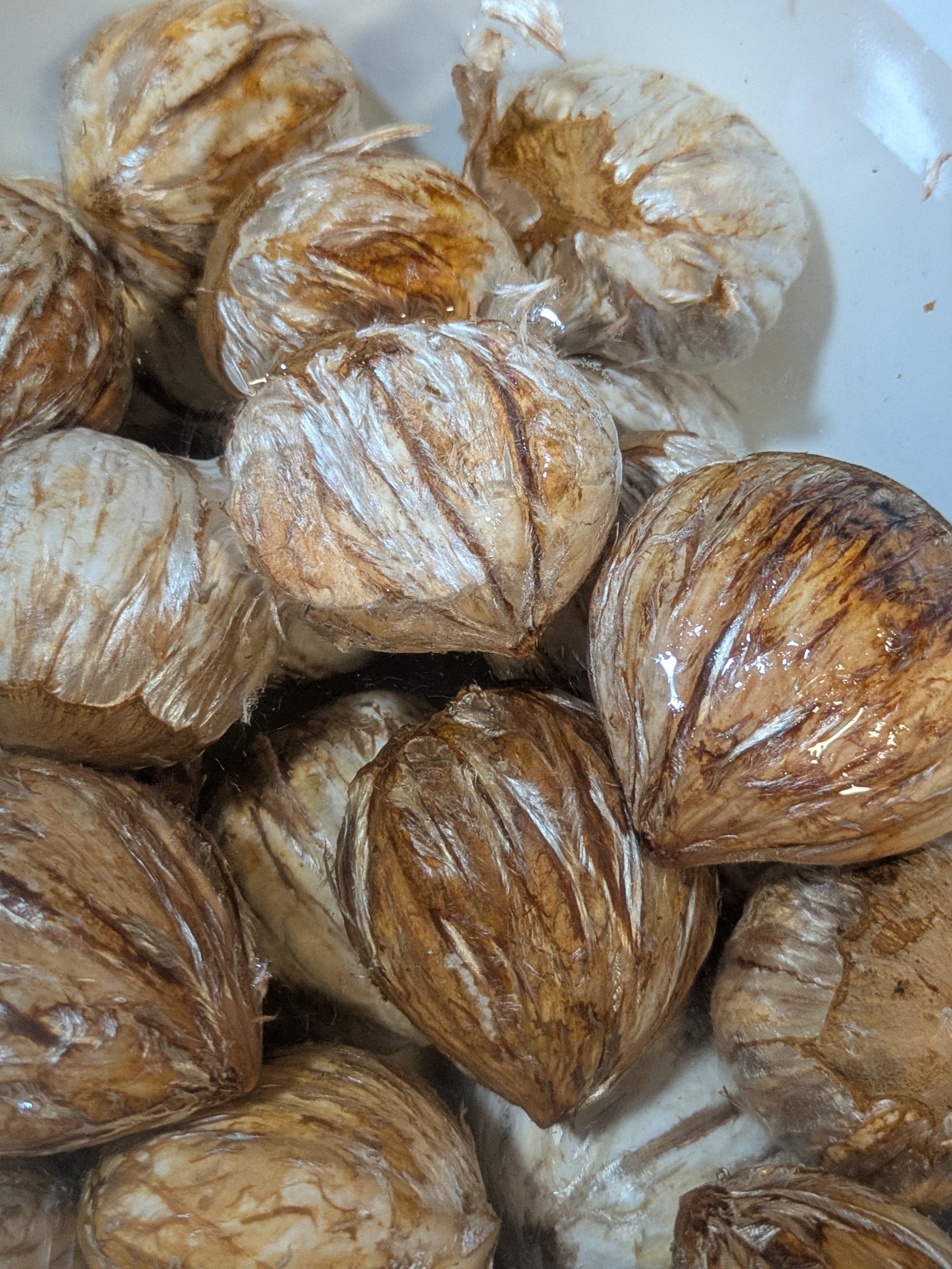 生栗】ぽろたん 4Lサイズ 1Kg | かねこ農園オンラインショップ