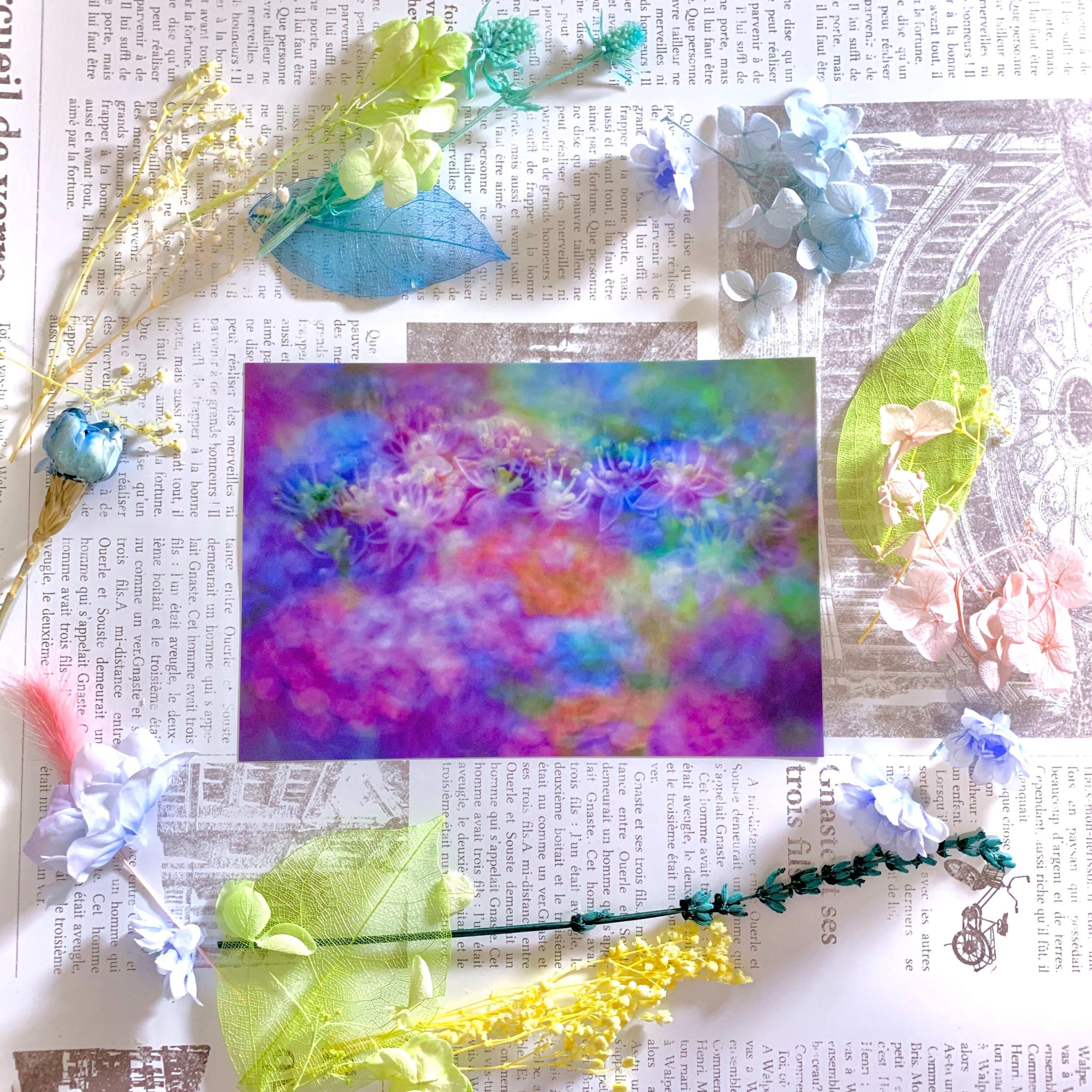 最大 オフ 花のポストカード アジサイ 紫 Shipsctc Org