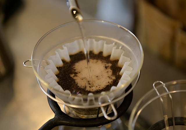 Ethiopia Sidamo Guji Uraga Zelelam CWS Red Honey (200g) | SAFARI