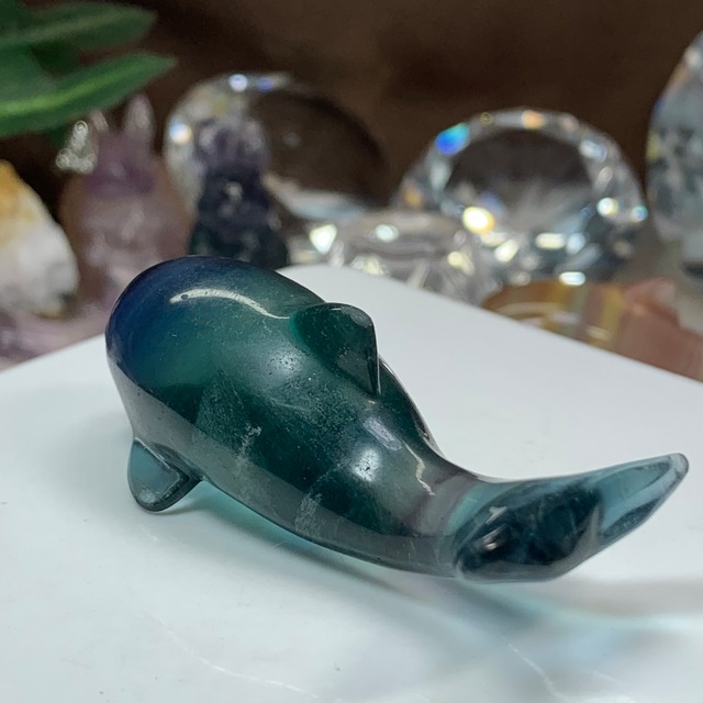 5.癒☆可愛いフローライトイルカさん