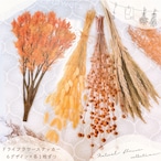 【 ドライフラワー ガーランド クリア ステッカー】 6デザイン×各1枚ずつ ハンキング オータム 秋 紅葉 装飾 シール デコレーション ボタニカル PET素材 透明 植物 葉 コラージュ 北欧 ナチュラル かわいい おしゃれ