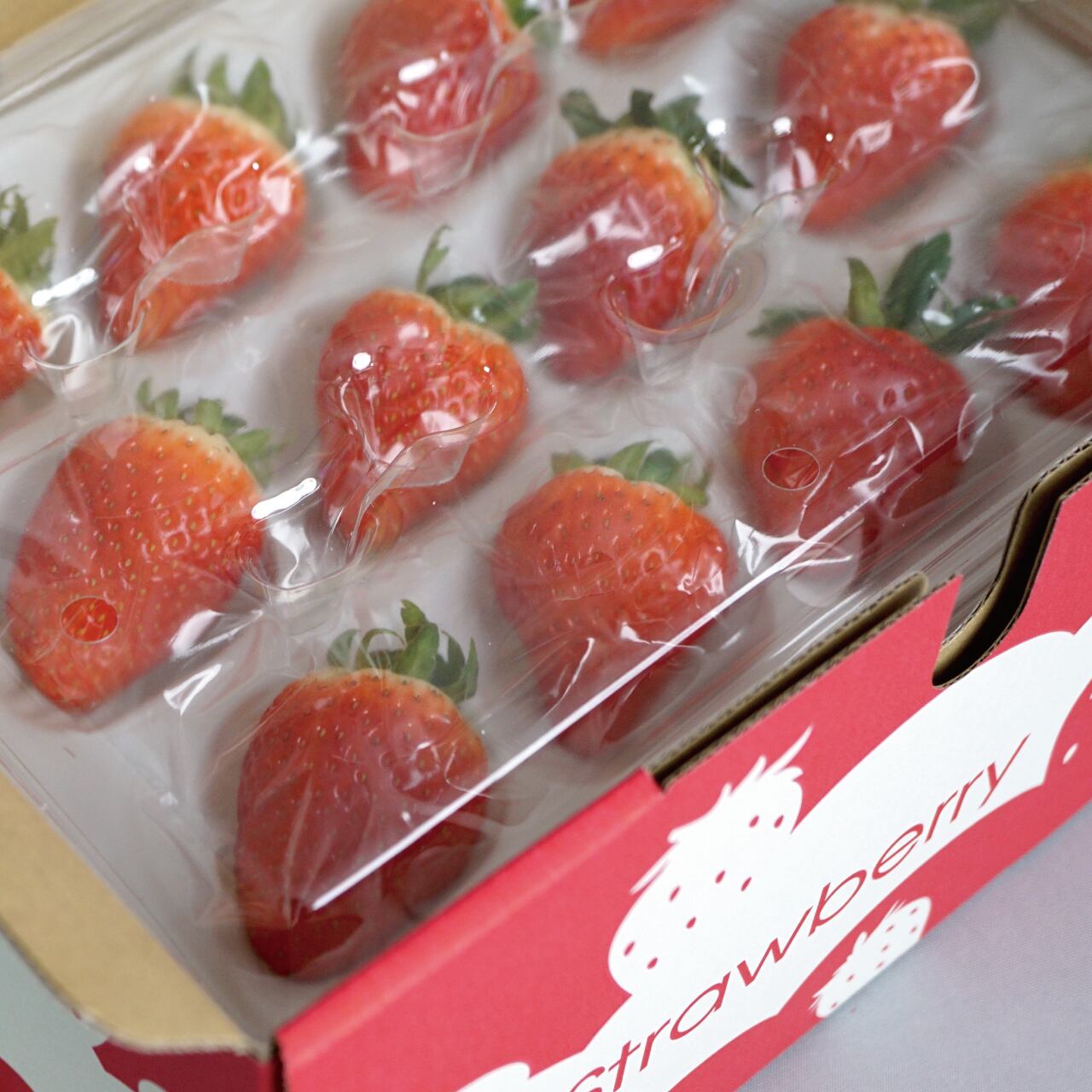 ゆりかーご 2バック用 いちご 6,000円 | yama-moto-farm いちご農園