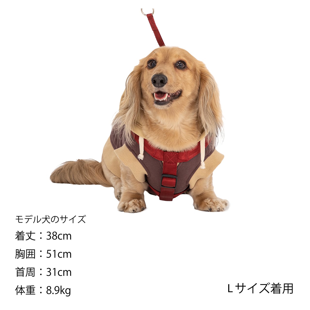 旧バージョン】CLASSIC HARNESS Lサイズ クラシックハーネス Lサイズ