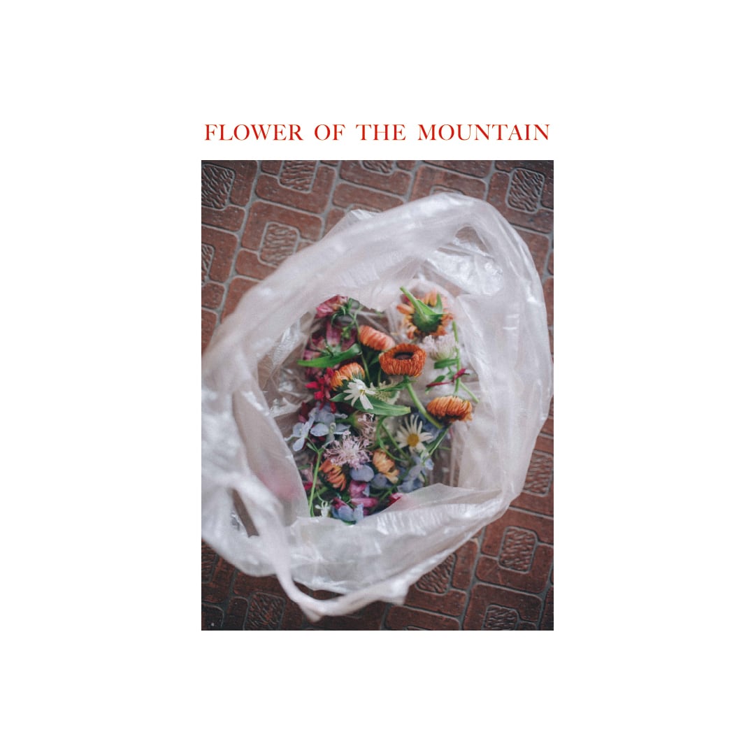 24s/s 高山植物図鑑 zine