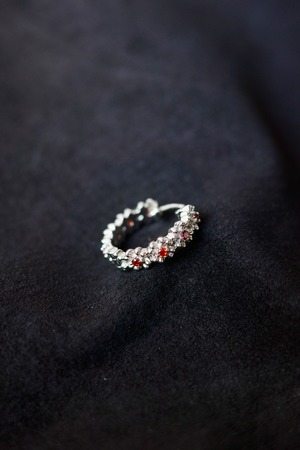 AYNiL jujuwelry 【Lucky clover stone  Earring with India Ore -Red stone-】