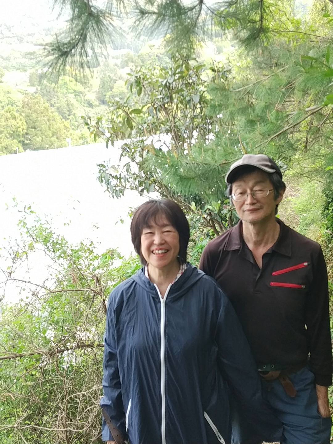 農薬不使用ハウスレモン約2kg | みねちゃんちのみかん