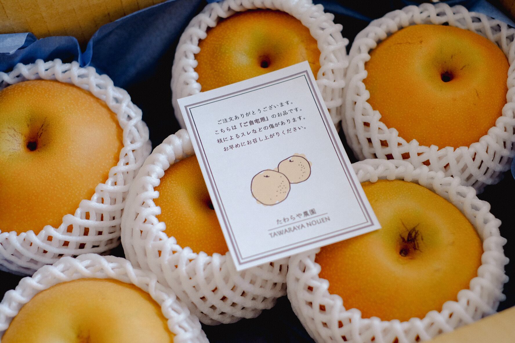 SUN南水 4.8〜5kg 信州産 南水梨 【贈答用】ミニドライフラワー付き 10