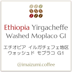 【送料込】エチオピア イルガチェフェ地区 ウォッシュド モプラコ G1 - Ethiopia Yirgacheffe Washed Moplaco G1 - 300g(100g×3)
