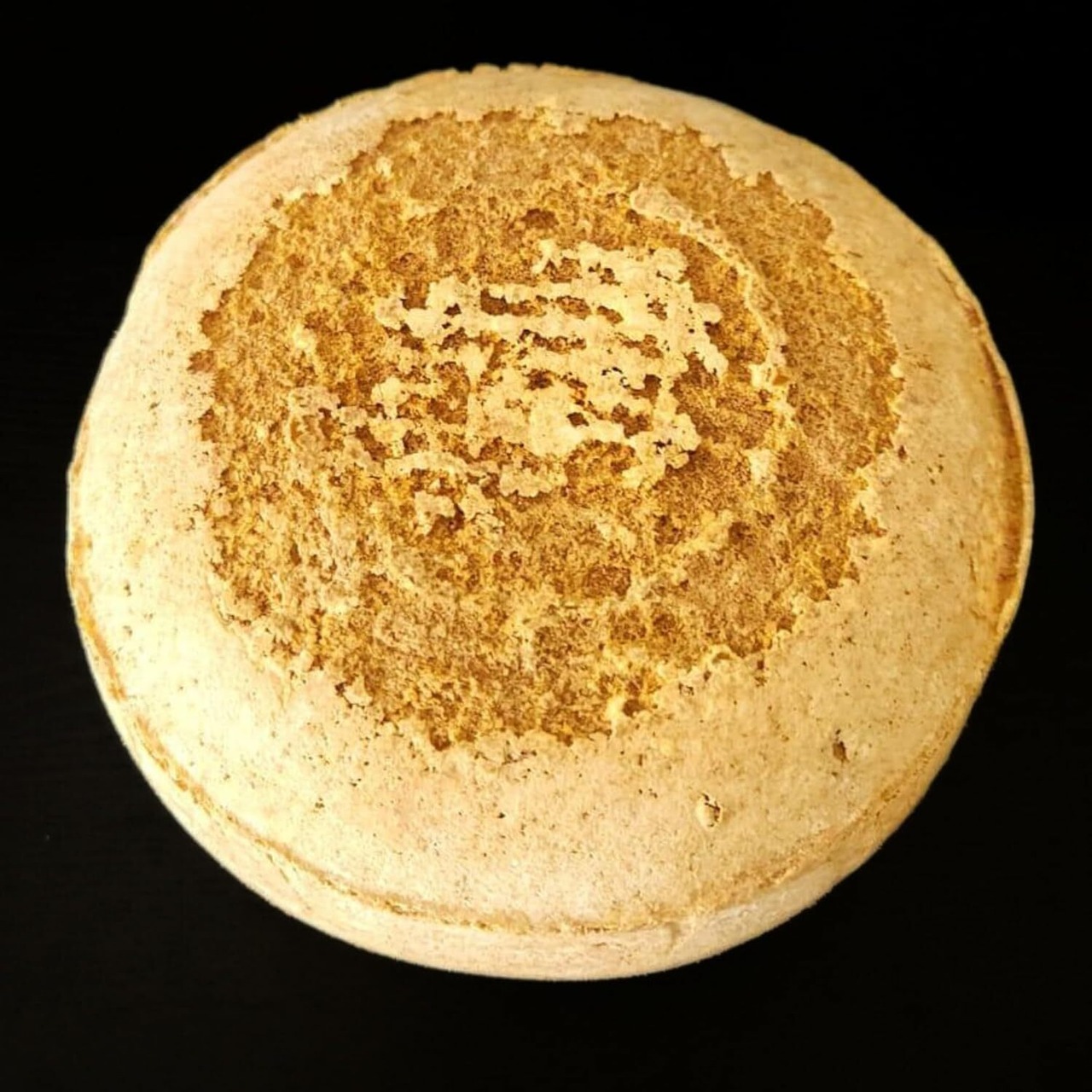 フランス産 グラスフェッド ミモレット 22ヶ月熟成 1.5kg 業務用｜切りたてハードチーズ French Grassfed Mimolette Cheese 22-Month Aged1.5kg| Whole & Bulk