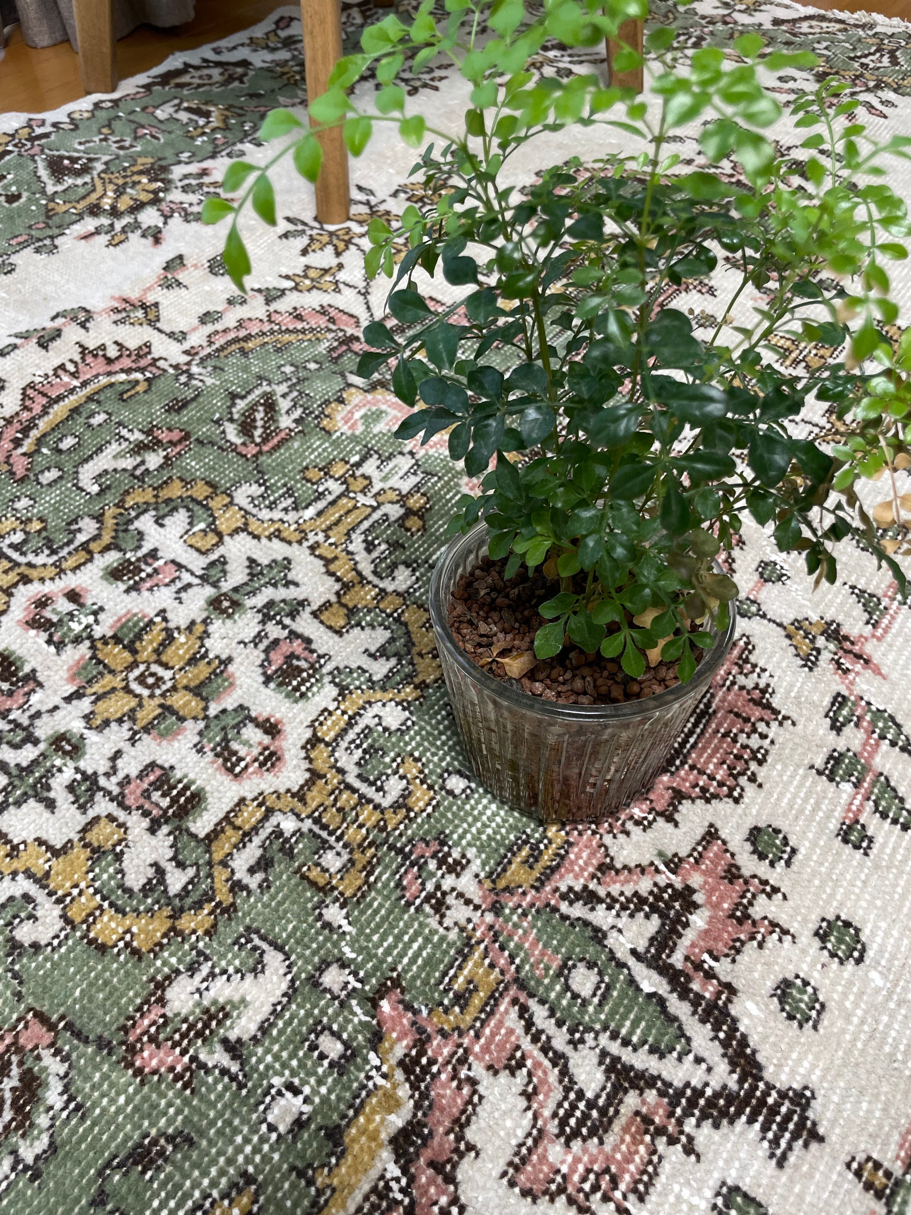 1点もの! ヴィンテージトルコラグ 抹茶グリーンメダリオン 1点もの!ヴィンテージトルコラグ抹茶グリーンメダリオン天然染料
