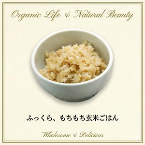 【セット割+】玄米ごはん （1食分160g）＜玄米ごはんを手軽にお召し上がりいただけます＞◎国産有機玄米を使用 ◎伊豆大島海塩でほんのり塩味 ◎簡単・時短　温めるだけ　x10個（8%off）