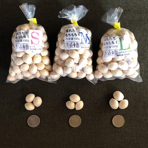 銀杏〜ゆうパケットで送料お得〜【泰幸園】