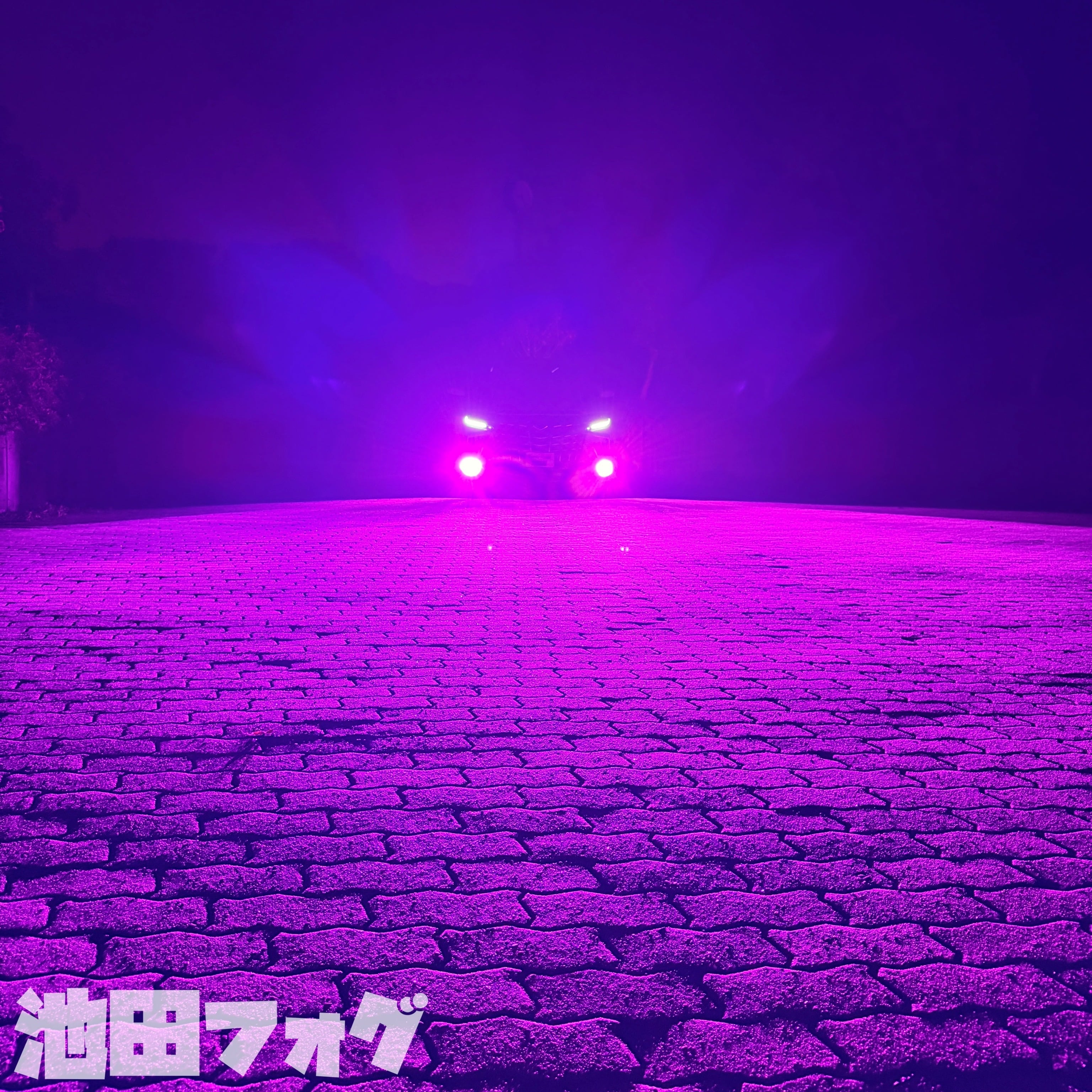 超爆光 パープルピンク フォグランプ 実測14000lm越え H8/H11/H16 HB4