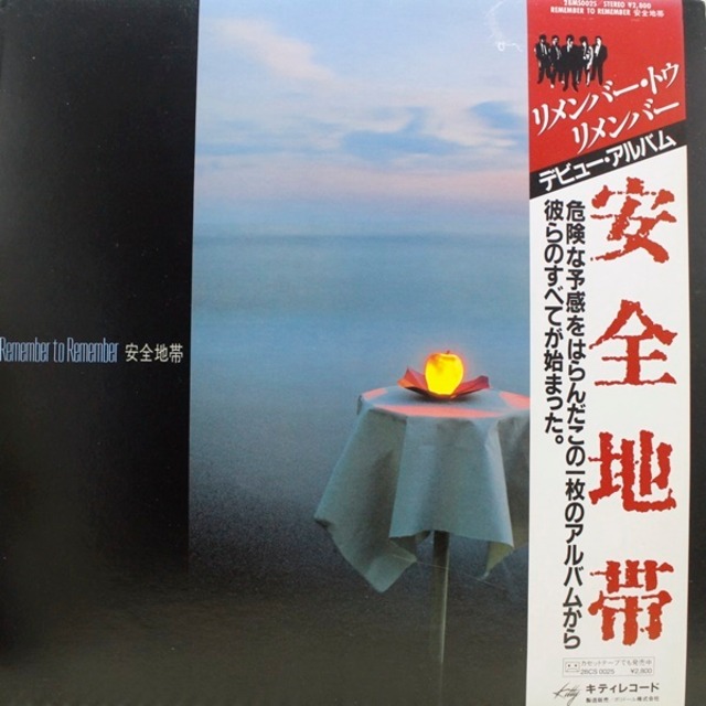 安全地帯 / Remember To Remember [28MS 0025] - メイン画像