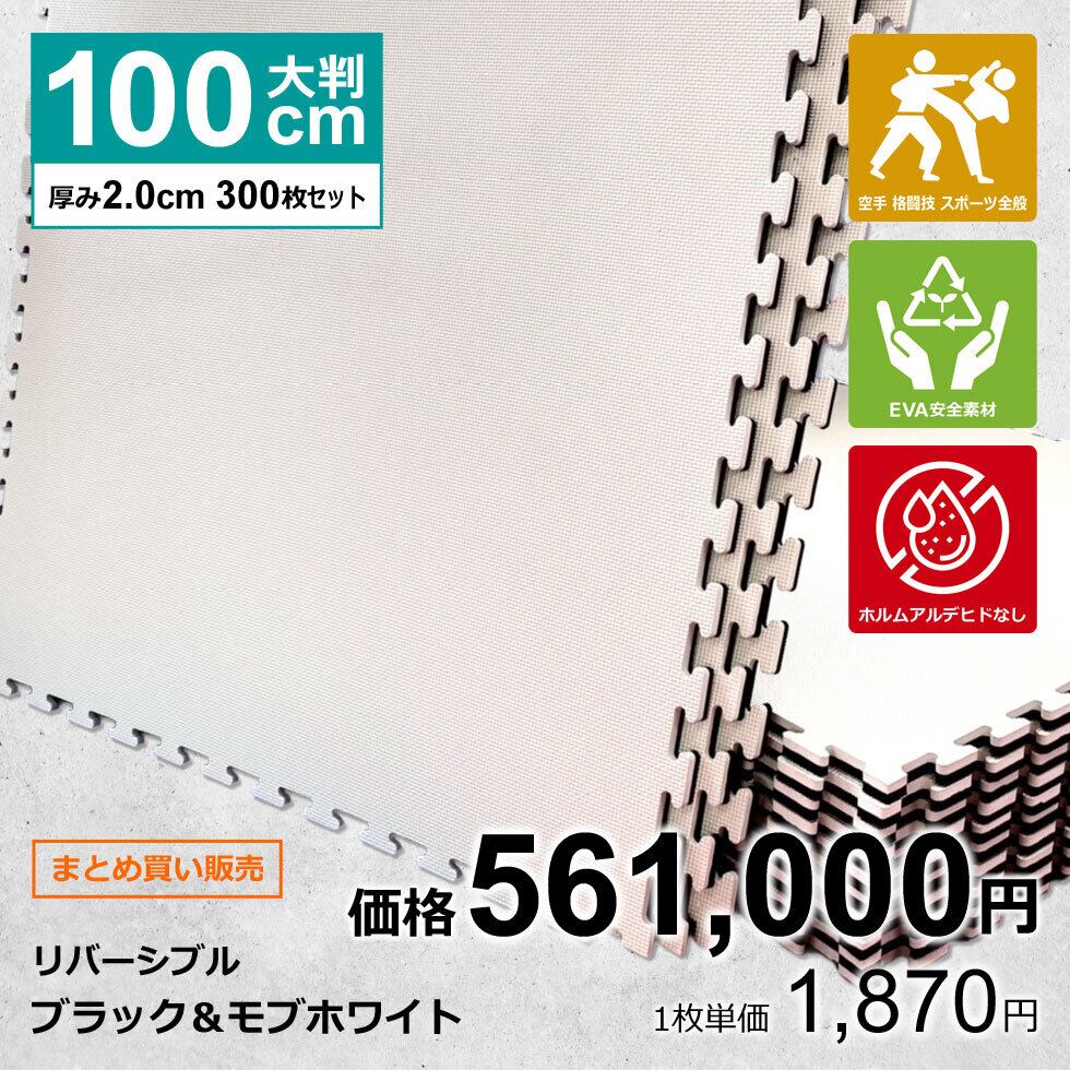 100枚】ジョイントマット大判 Ver.3.1