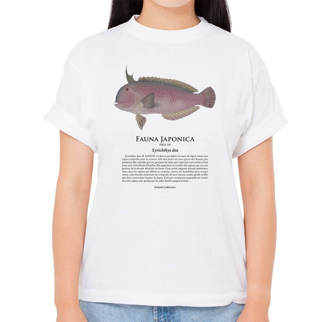 【テンス】シーボルトコレクション魚譜Tシャツ（高解像・昇華プリント）