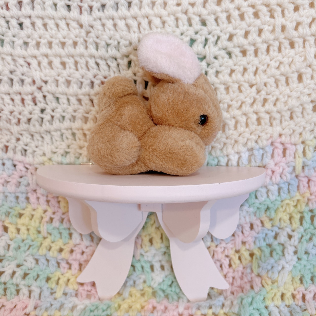 mini bunnyの画像03