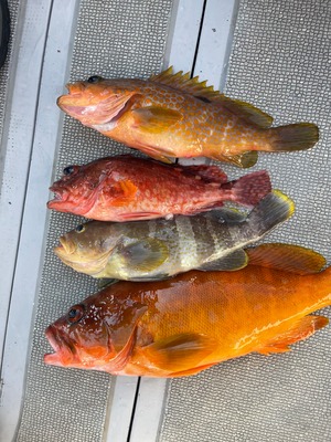 ハタ系MIXジャーキー