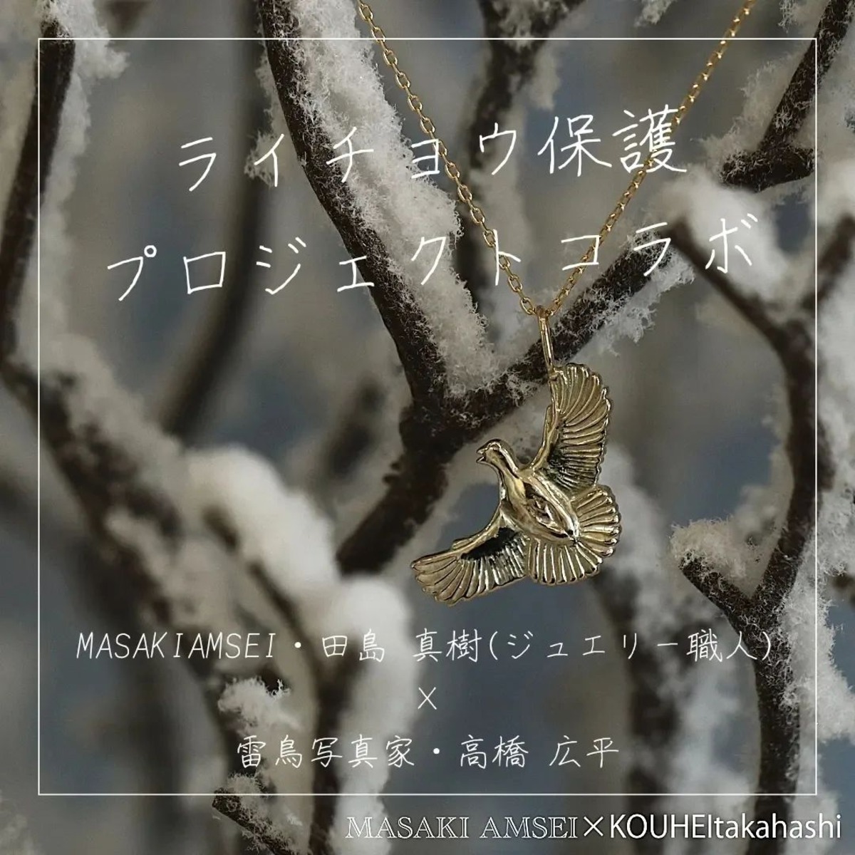 MASAKI AMSEI×高橋広平 雷鳥保護プロジェクトコラボ 】羽ばたく雷鳥の