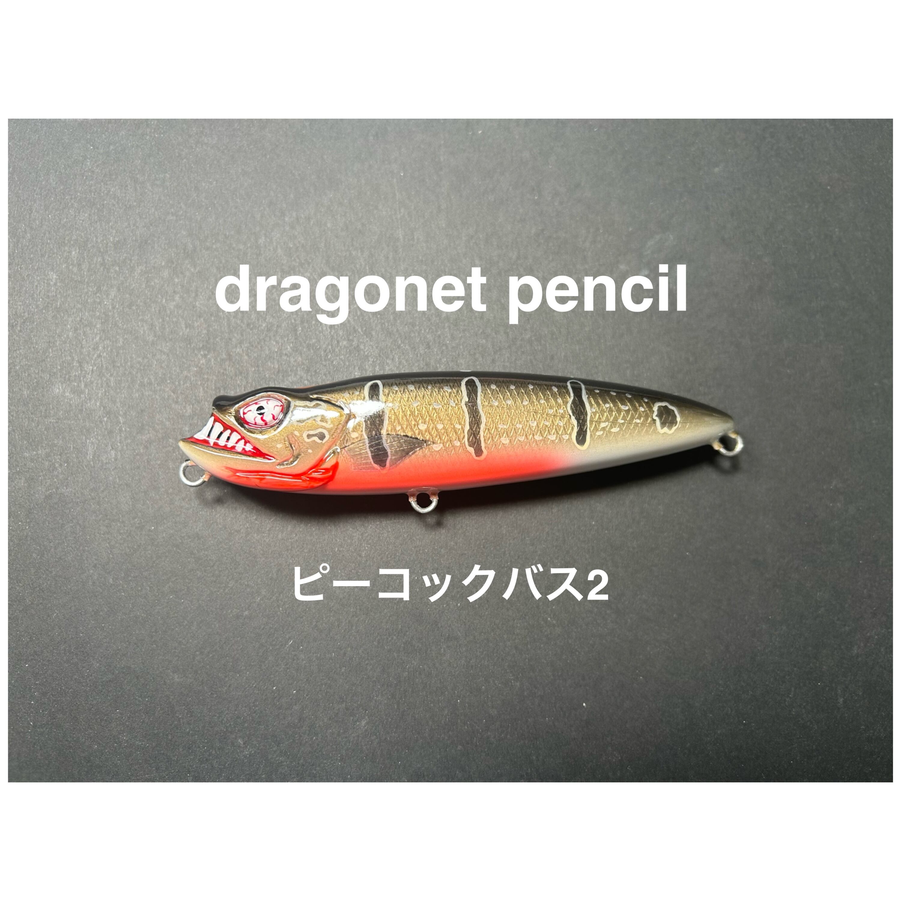 RoughStyleFishing