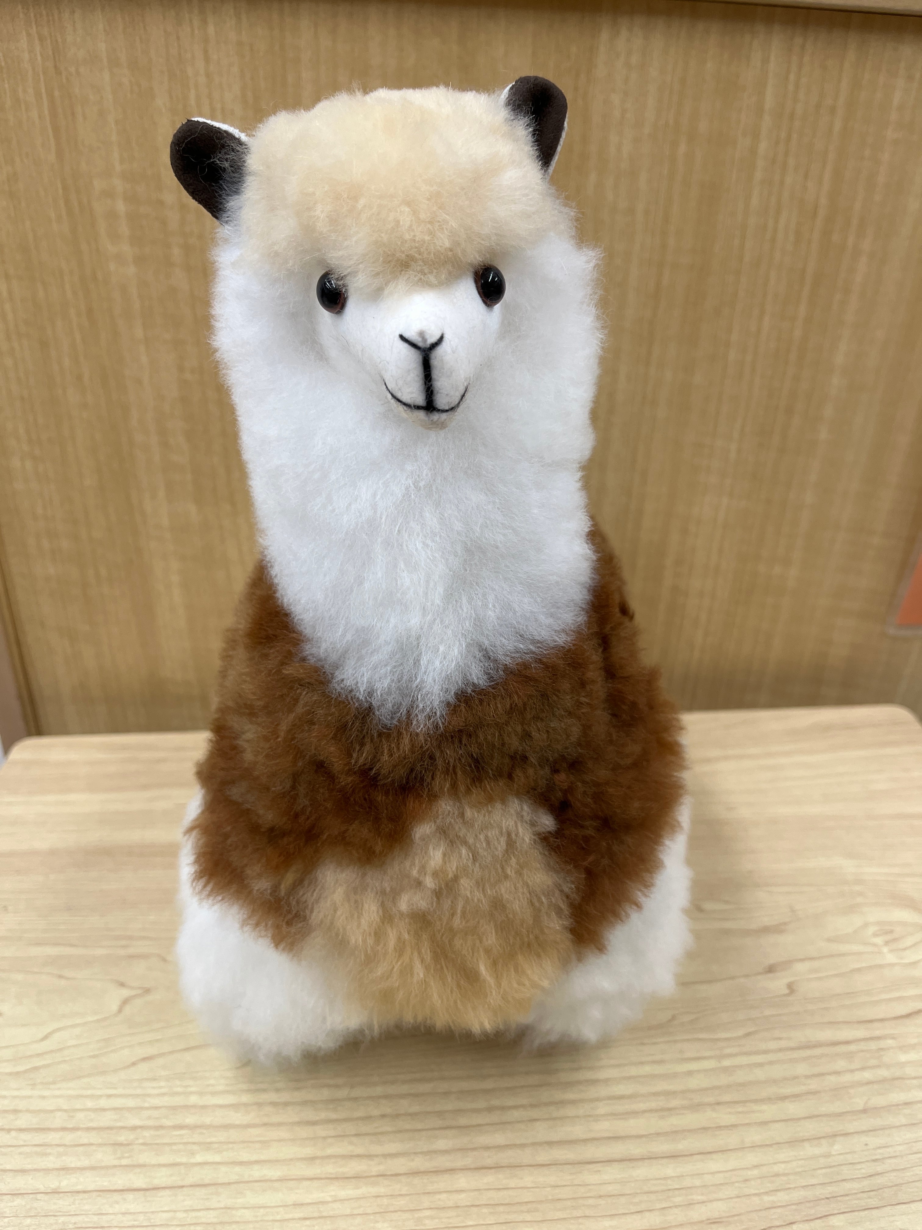 ベビーアルパカ人形 大 ミックス☆ | ALPACA WORLD