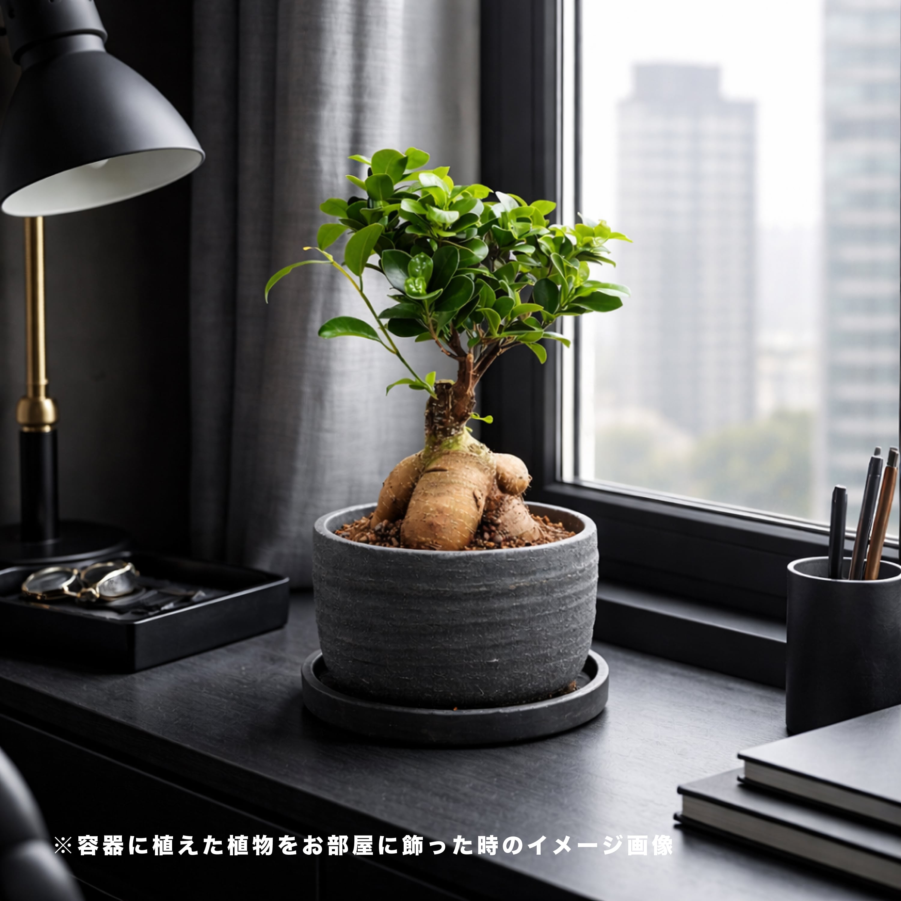 臨場感あふれるお洒落な黒陶器鉢（受け皿付き） | インテリアグリーン