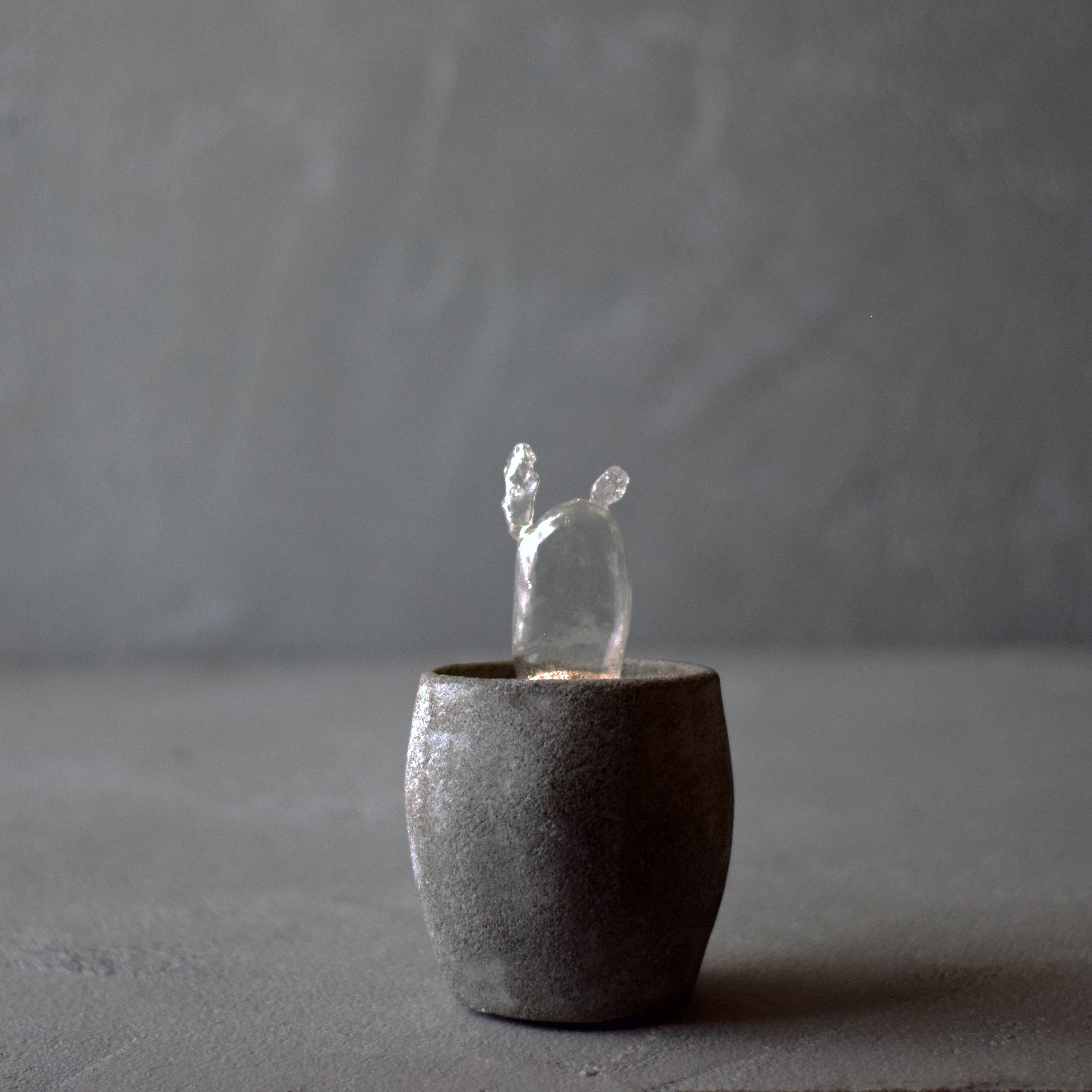 透明サボテン 005 | echidna