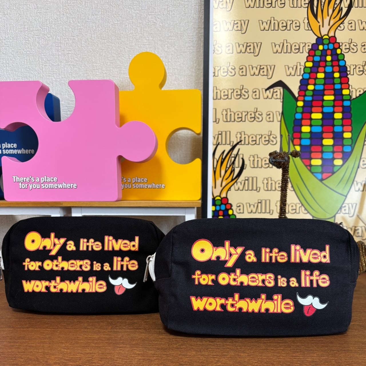 DHD(M)024【キャンバスファスナーポーチ（ミッドナイトブルー）　アインシュタインⅡ】