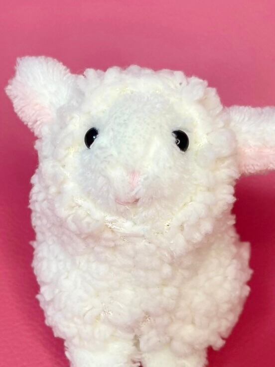 コヒツジヤサン