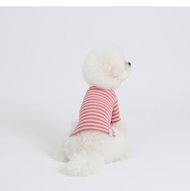 リボンティー - (PINK)