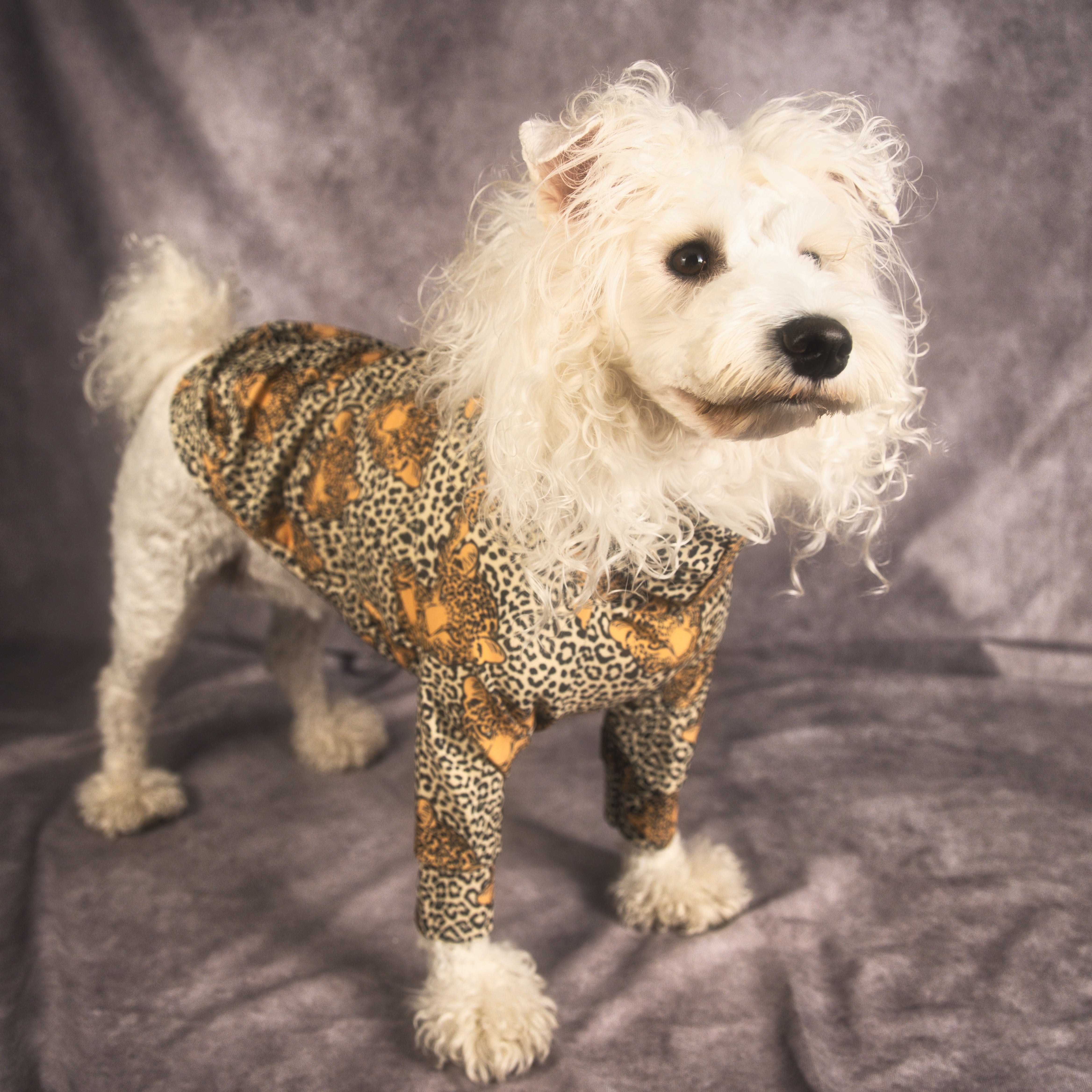 THE DOG WEAR