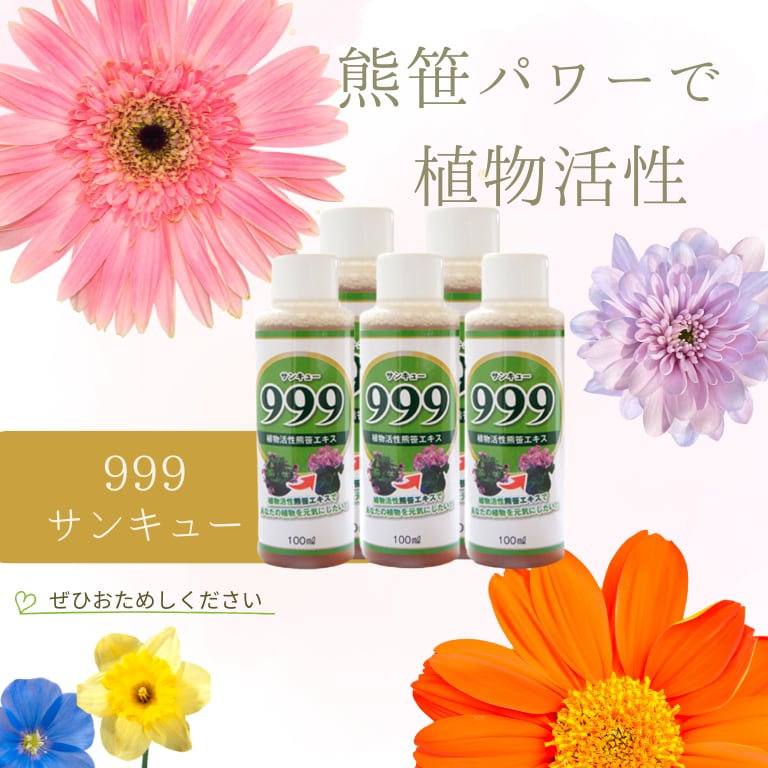 999 サンキュー【植物活性　熊笹エキス】100ｍｌ×5本
