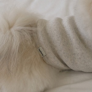 【予約】[ togethering ] Eyelet Crop T-Shirt｜Oatmeal