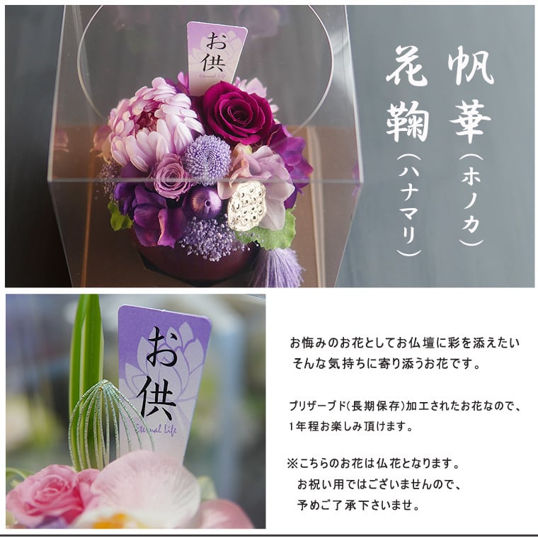 あや様専用】 あや様専用 あや様 専用 あや様専用 aya様専用ページ 【